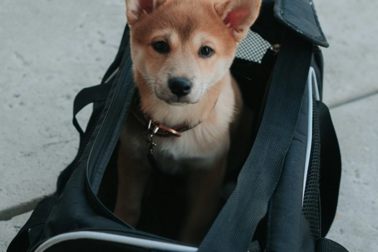 dex-ezekiel-unsplash