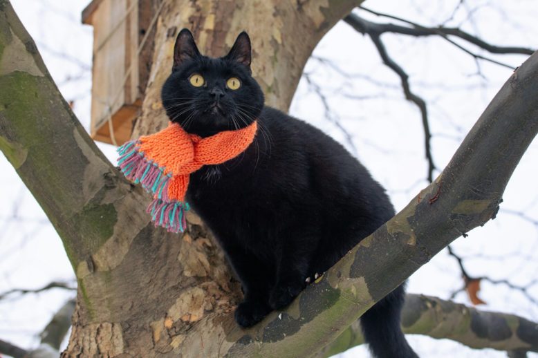 CMS_tatyana-rubleva-unsplash