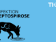 TION-Podcast: Leptospirose bei Hunden