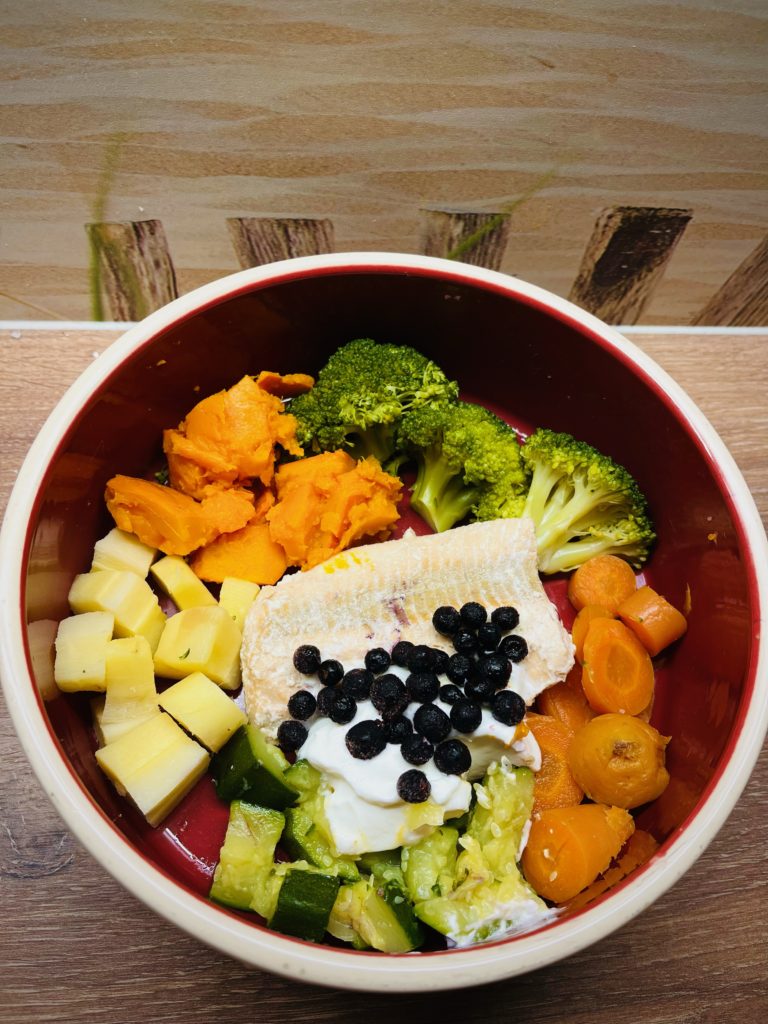 Gesund kochen für das eigene Haustier