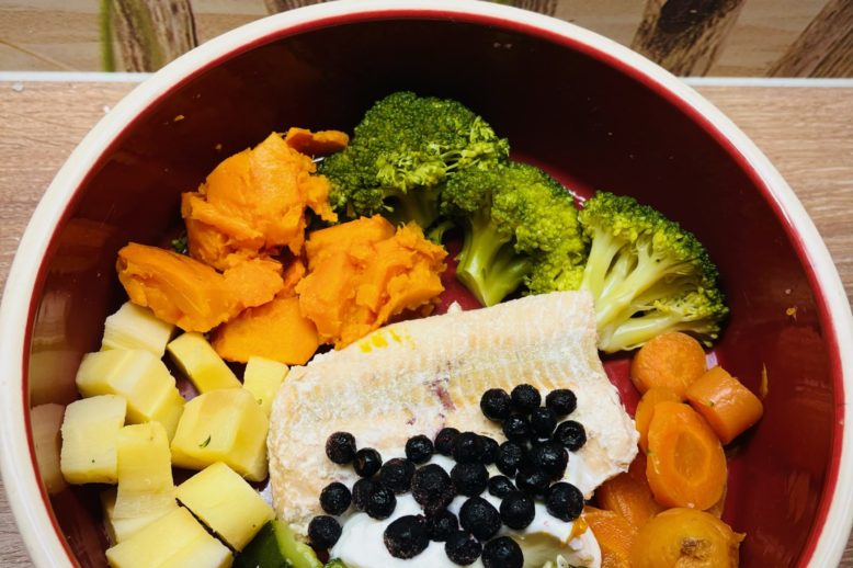 Gesund kochen für das eigene Haustier Gesund kochen für das eigene Haustier